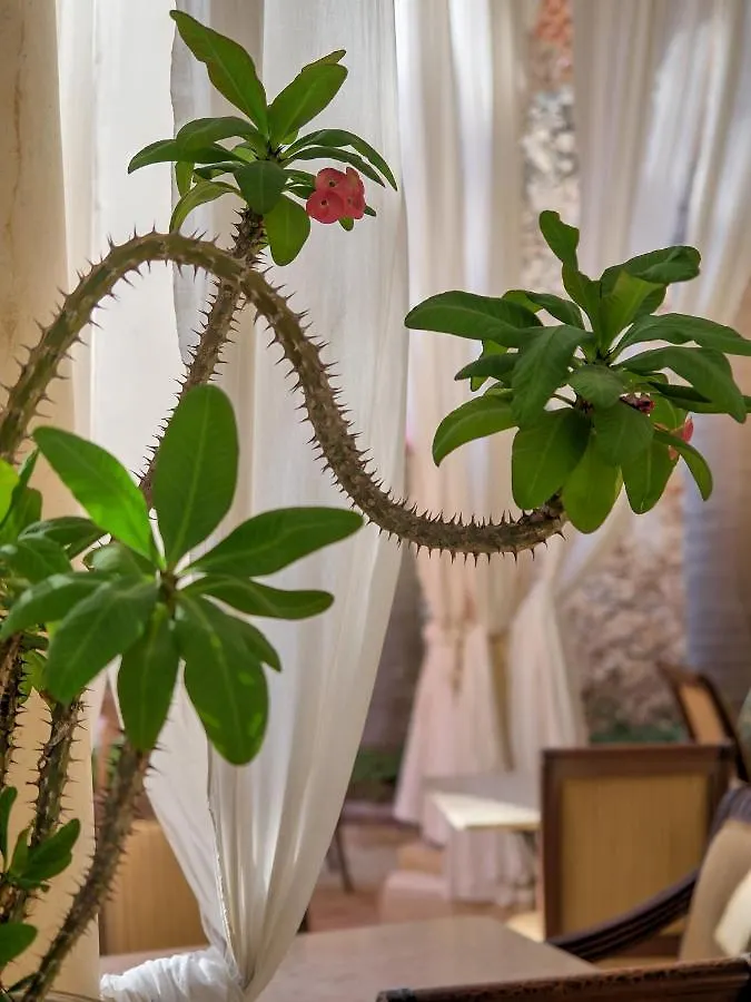 **** Hotel El Palacito Secreto Luxury Boutique Hotel&Spa Mérida México